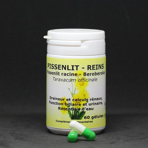 Pissenlit gélule, Masoala Laboratoire, bte de 60