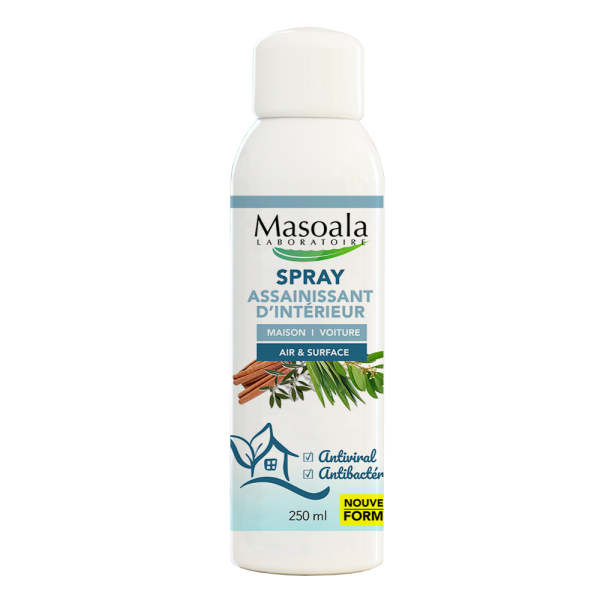 Spray Aérosol Assainissant Intérieur, Flacon 250 ml