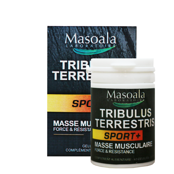 Tribulus terrestris, gélules, boite de 60